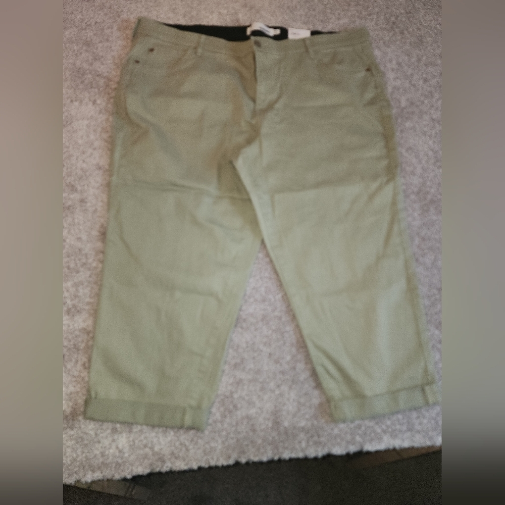 NWT Sonoma size 24r pale green capris